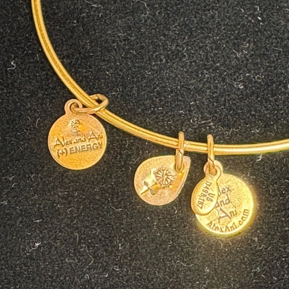 Gold Tone Alex and Ani Dolphin Charm Bangle Bracelet